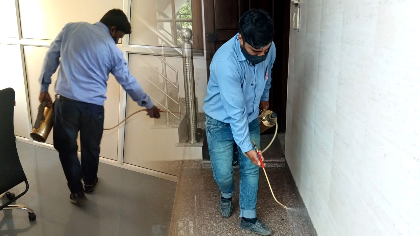 Pest Control East Delhi